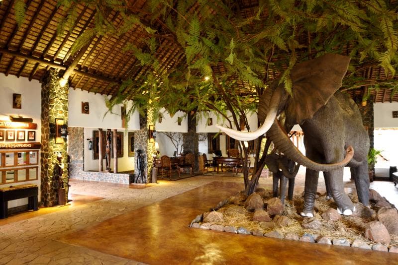 Lake Manyara Kilimamoja Lodge 5
