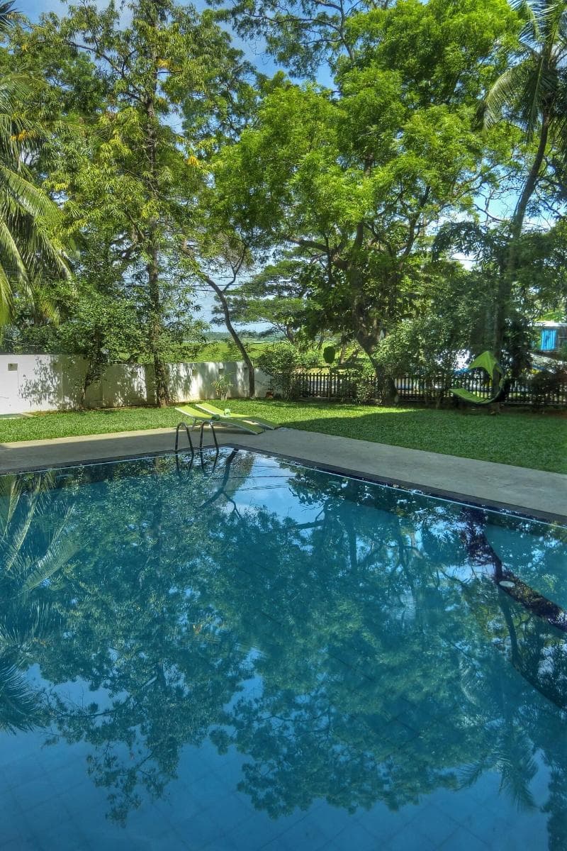 The Rain Tree Hotel photo 1