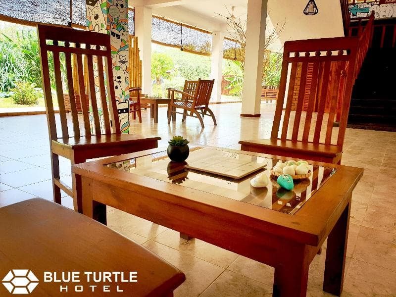 Blue Turtle Hotel main