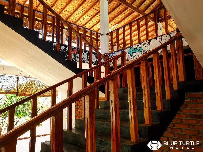 Blue Turtle Hotel 3