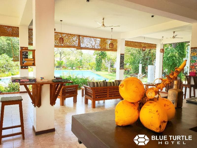 Blue Turtle Hotel 5