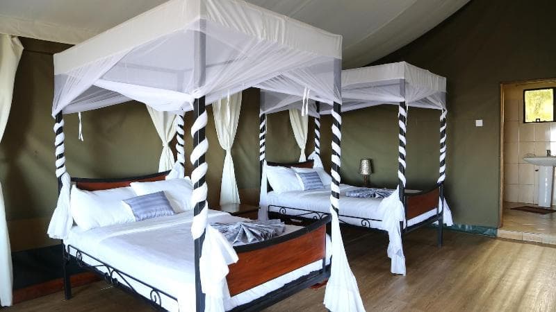 Ngorongoro Wild Camp 5
