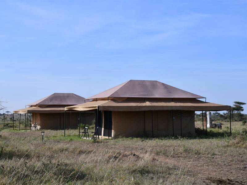 Serengeti Wildebeest Camp 2
