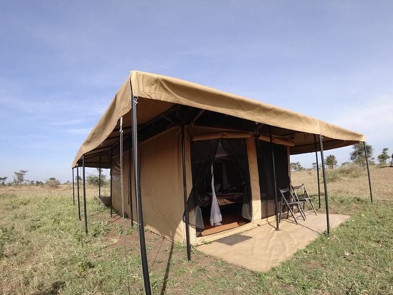 Serengeti Wildebeest Camp 4