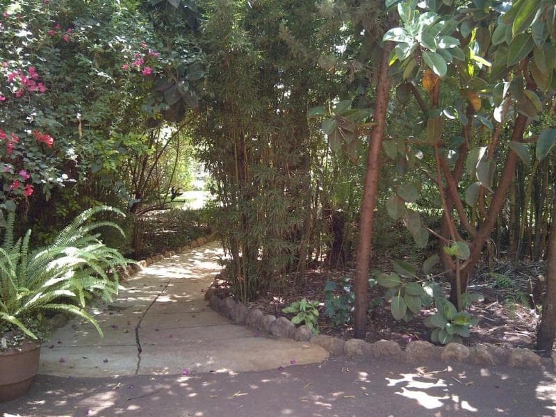 Octagon Safari Lodge 4