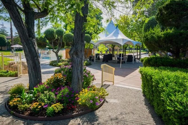 Los Gatos Lodge photo 1