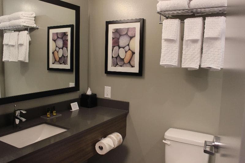 Best Western Plus Dauphin 5