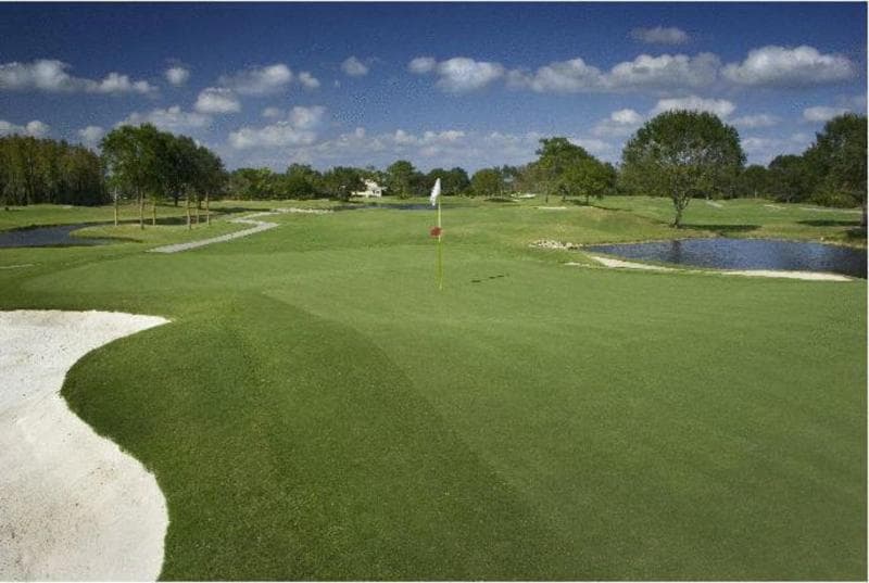 Saddlebrook Resort Tampa photo 1
