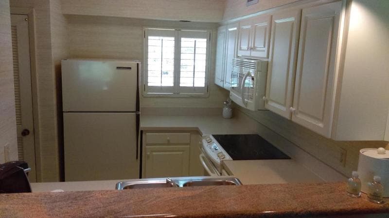 Saddlebrook Resort Tampa 4