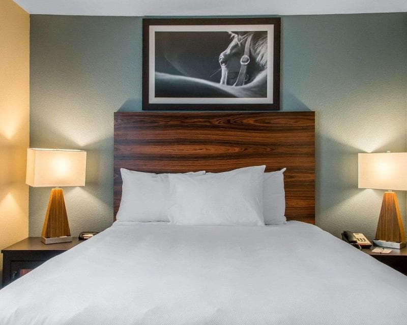 Mainstay Suites Cotulla 4