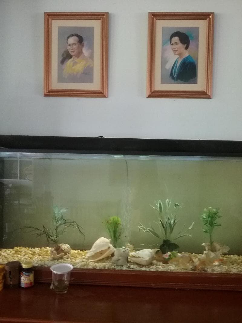 Krabi River Hotel photo 1