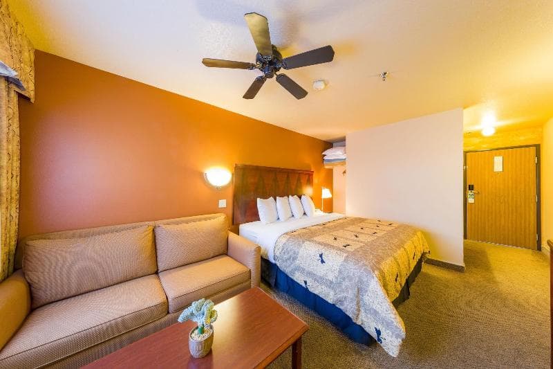 Alpine Inn & Suites 4