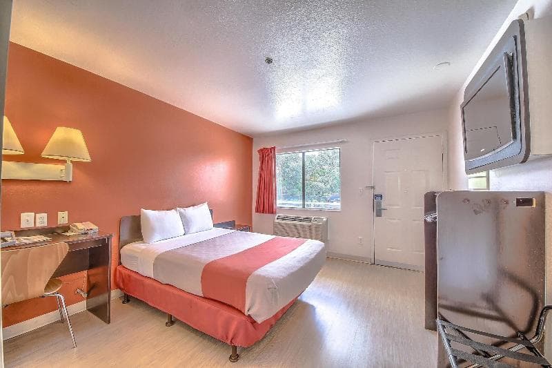 Motel 6 San Antonio - Fiesta 3