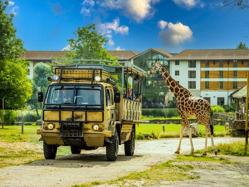 Chessington Safari Hotel 2