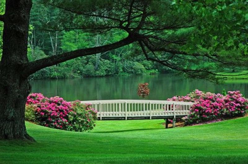 The Lodge At Chetola Resort 2