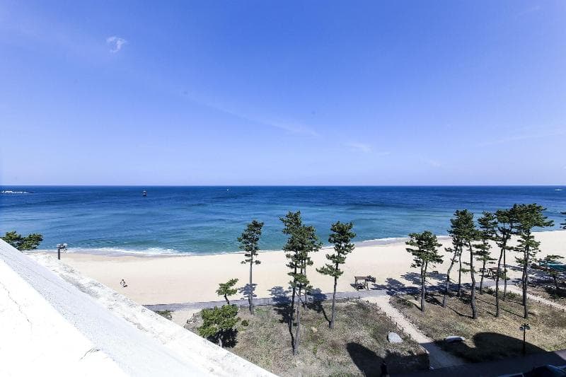 Gyeongpo Soo Hotel 3
