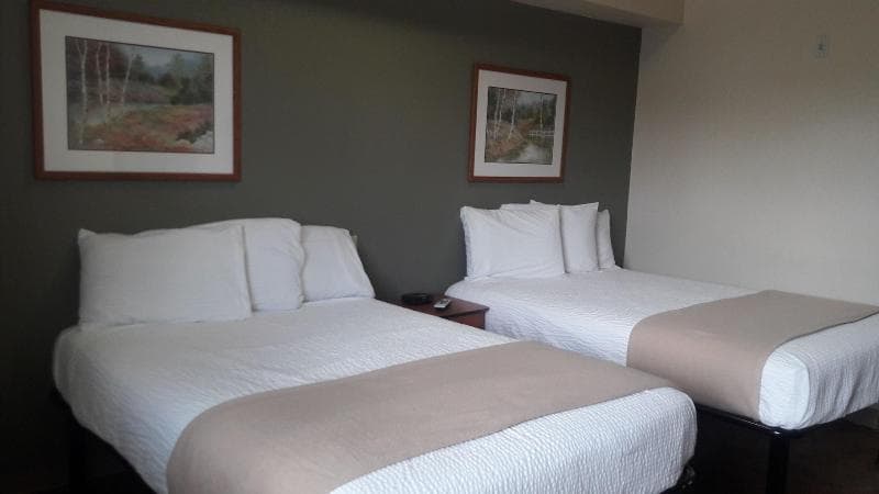 Best Studio Inn photo 1