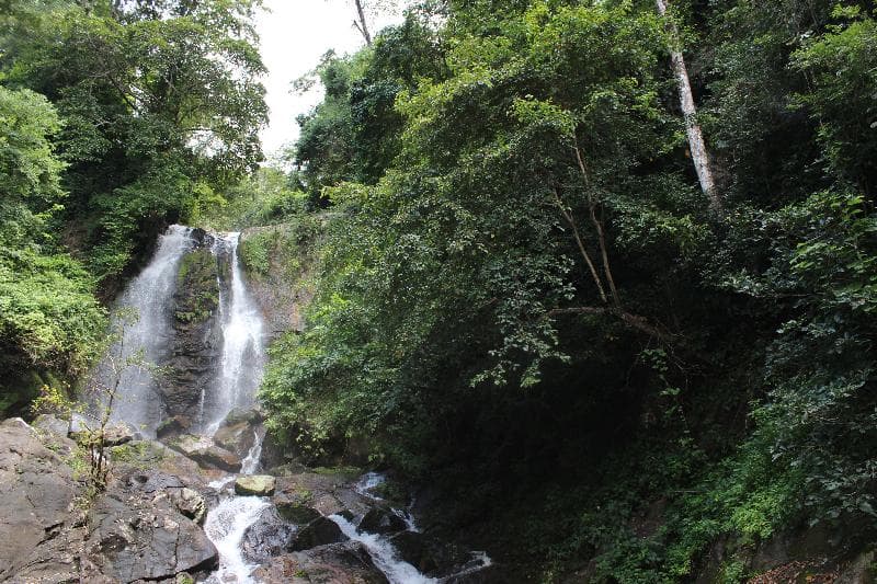 Udzungwa Falls Lodge 2
