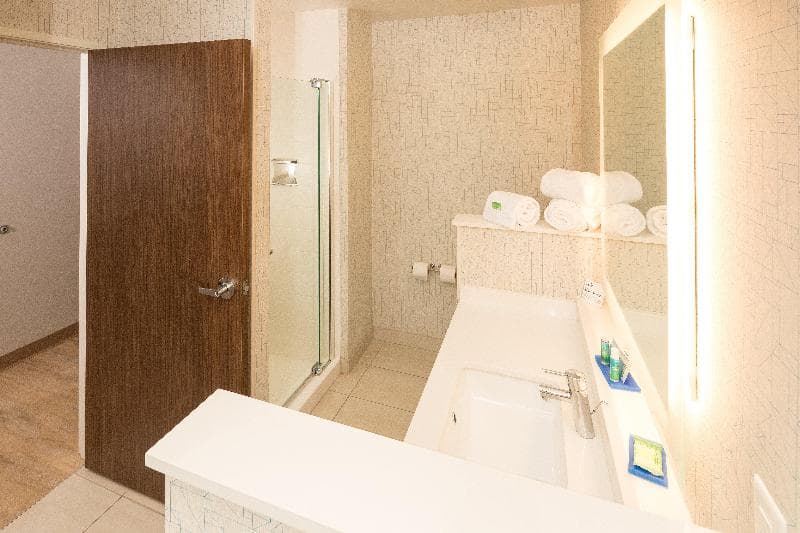 Holiday Inn Express & Suites Michigan City 4