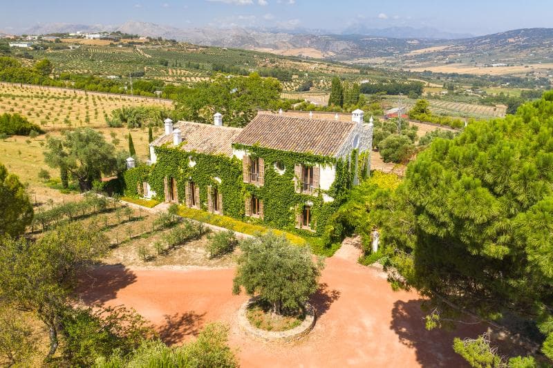 Cortijo La Organic 3