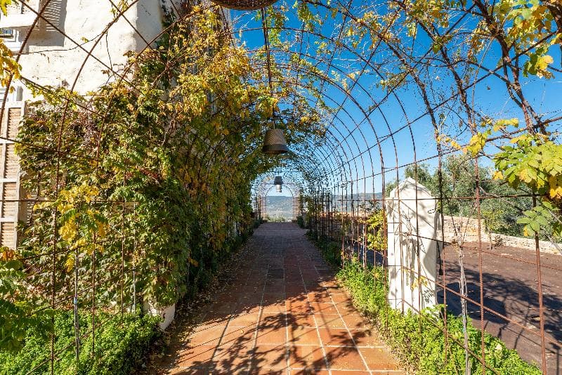 Cortijo La Organic 4
