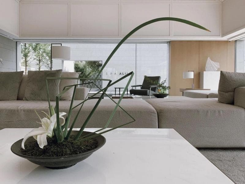 Alila Wuzhen 5
