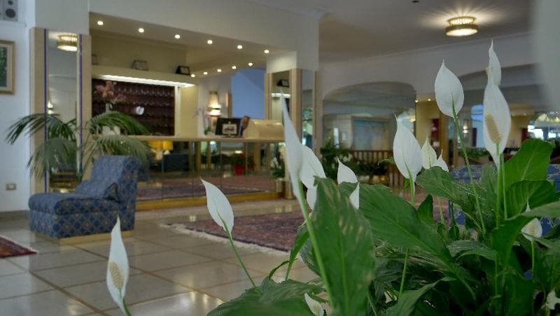 501 Hotel 2