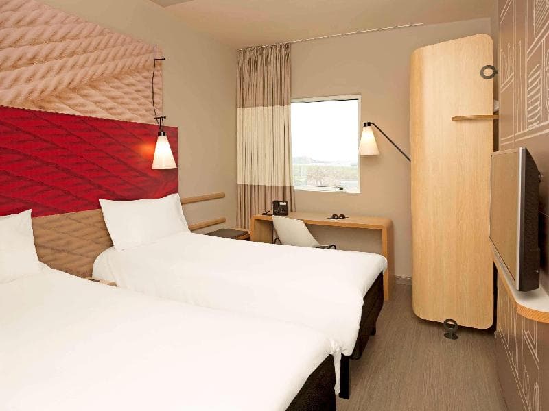 Ibis Paranagua 2