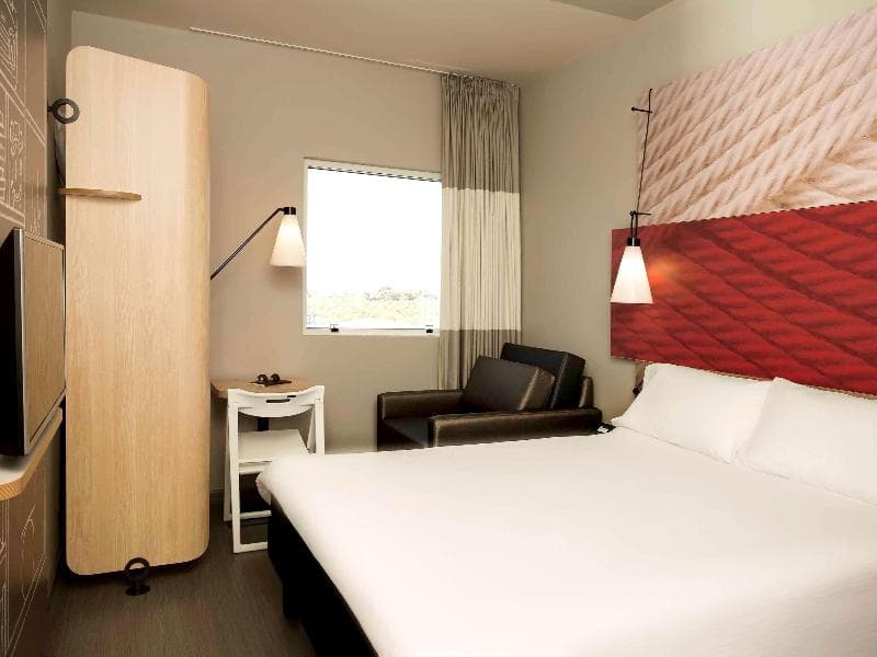 Ibis Paranagua 5