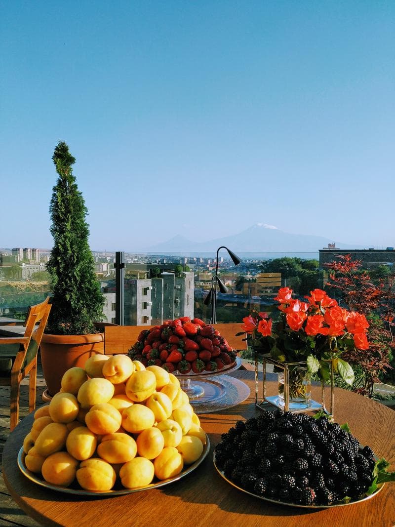 Apricot Hotel Yerevan main