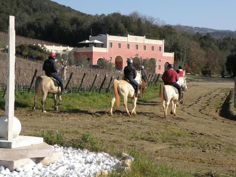 Tenuta Il Sassone 3