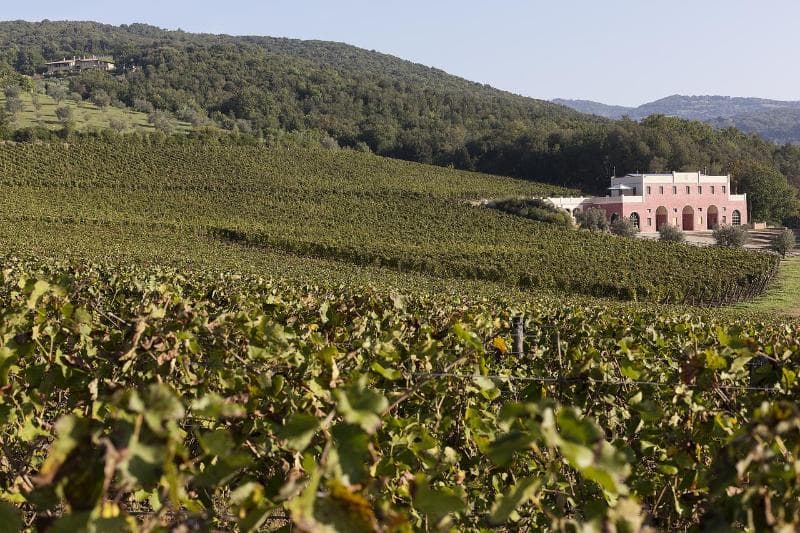 Tenuta Il Sassone 4