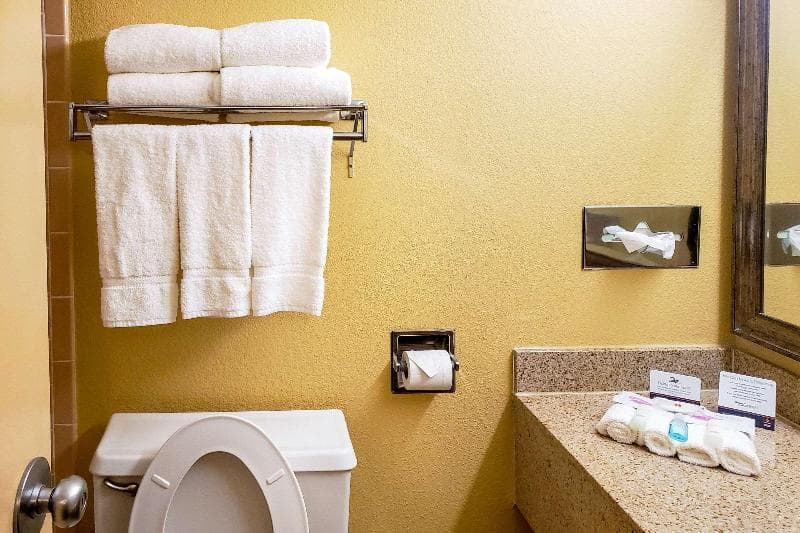 Clarion Inn & Suites Roswell 4