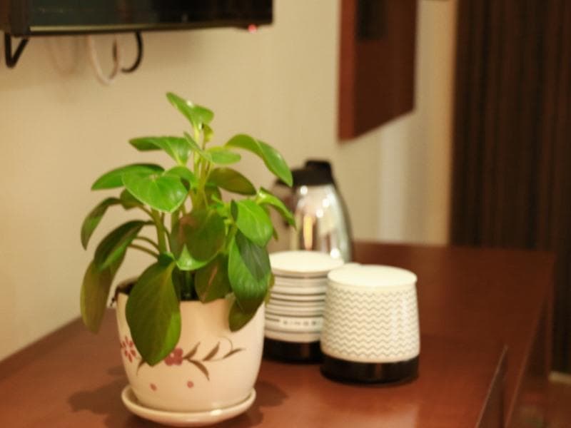 Shell Taiyuan Xiaodian District Malianying Road Taiyuan Airport Station Hotel photo 1
