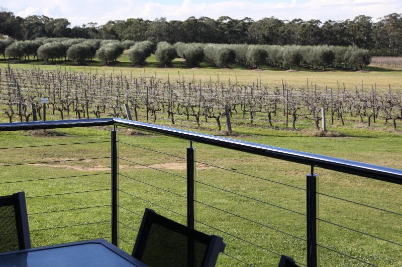 Adina Vineyard main