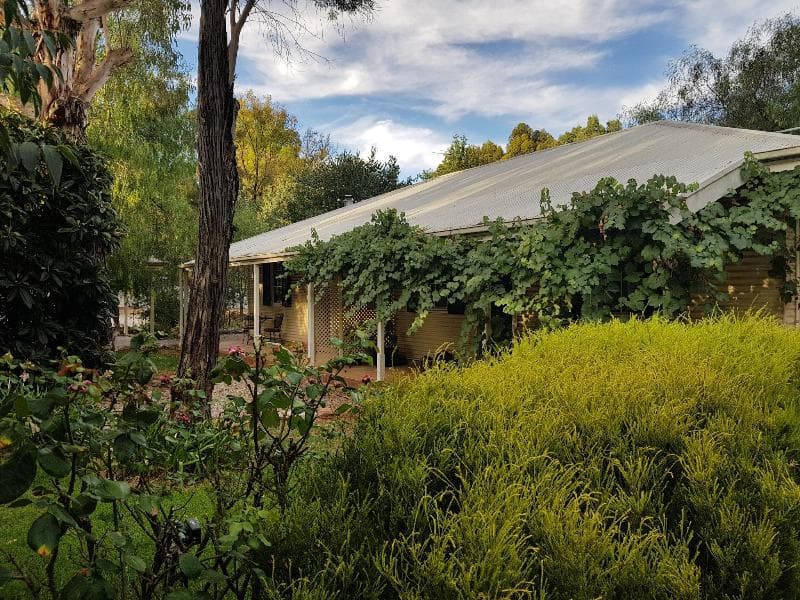 Amy's House 5