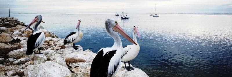Kangaroo Island Coastal Villas 3