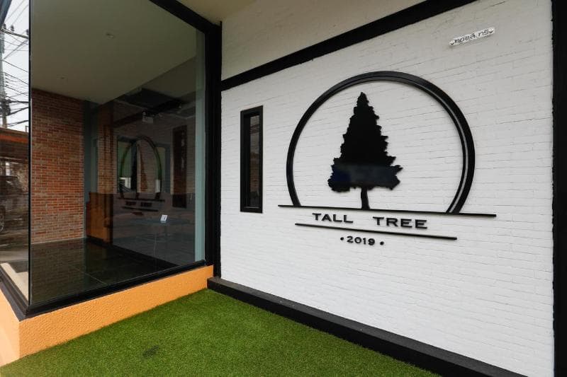 Tall Tree Kata Phuket 4