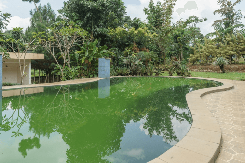 Formerly Reddoorz Plus Lodaya Gunung Geulis Puncak 2