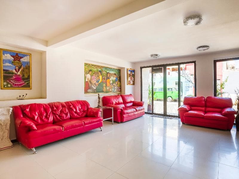 Oyo Hotel Rey David 5