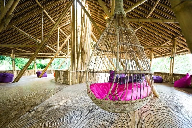 Ecolodge Bukit Lawang 4