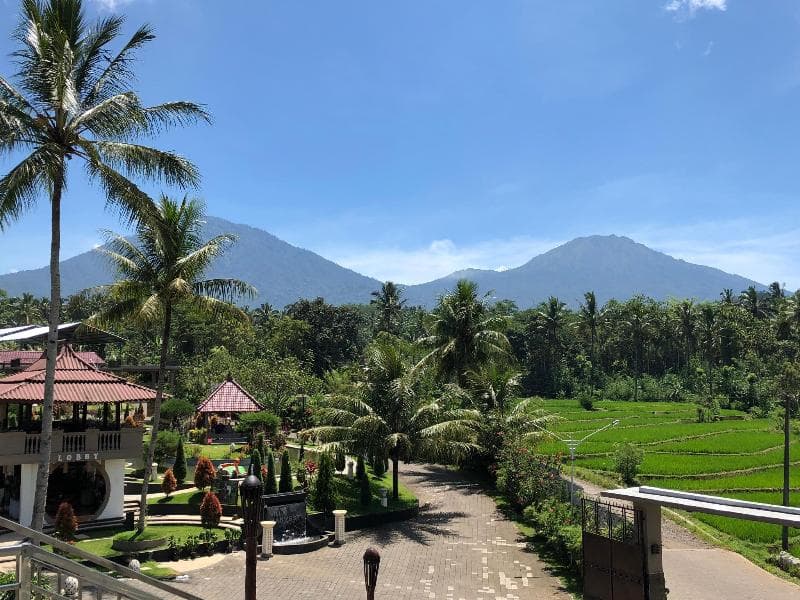 Grand Harvest Banyuwangi photo 1