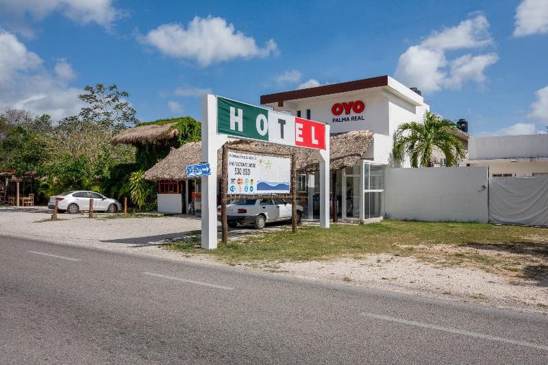 Hotel Palma Real 4