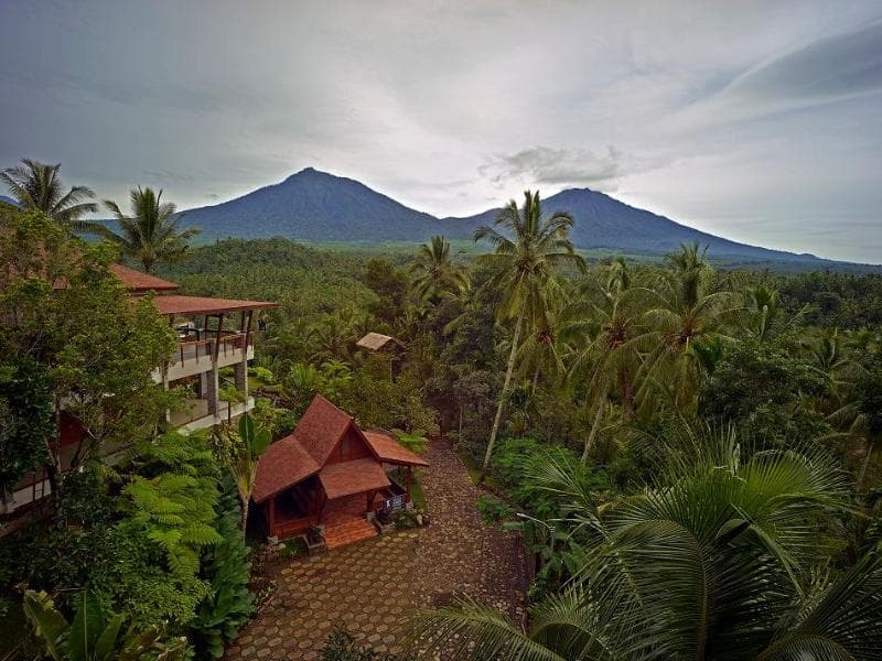 Jiwa Jawa Resort Ijen (Adults Only) 4