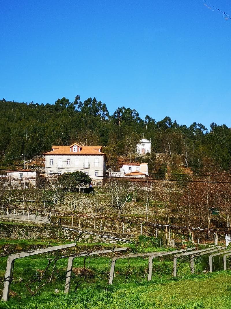 Regina - Quinta São Francisco Rural Resort 2