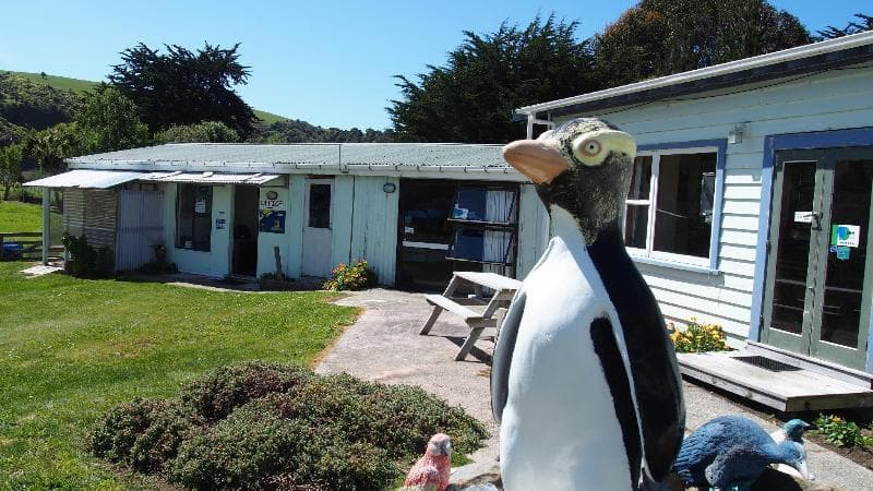 Surat Bay Lodge By The Sea/Backpackers Hostel 3
