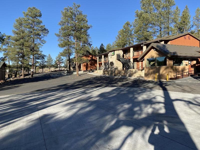 Motel In The Pines 4