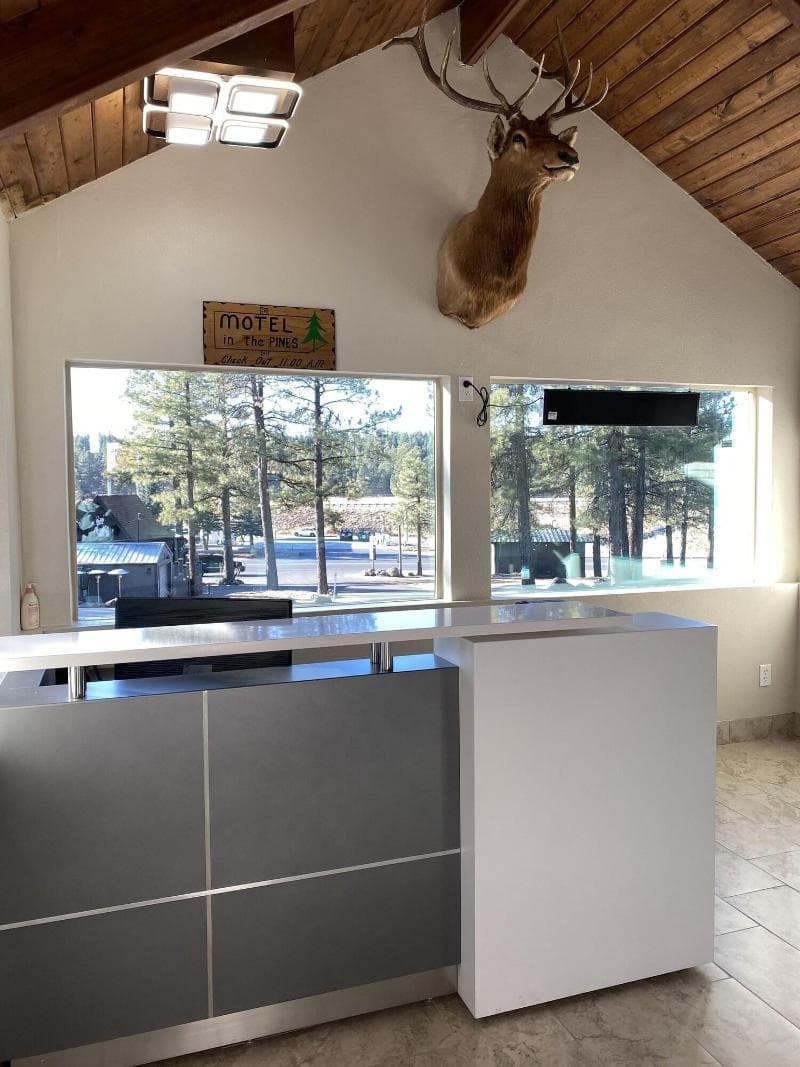 Motel In The Pines 3