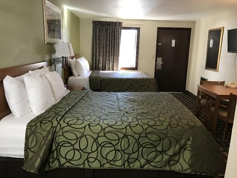 Motel In The Pines 2