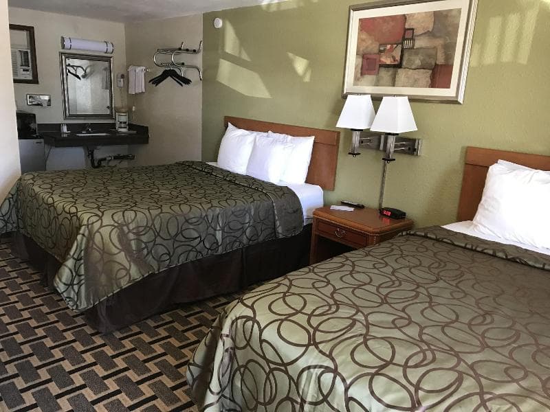 Motel In The Pines 5